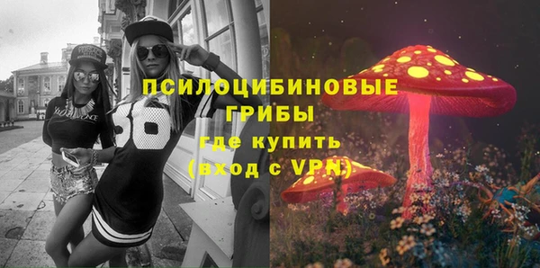 а пвп мука Бородино